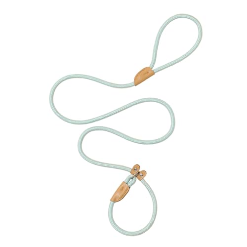 F Fityle Hundeleine, Starkes Nylonseil, tragbar, für kleine und mittelgroße Hunde, Nylon-Hundeleine, langlebig, für Lauftraining, Camping, Blau 0,6 cm von F Fityle