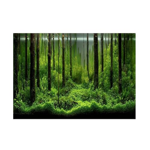 F&Y Selbstklebendes PVC-Aquarium-Hintergrundposter – Unterwasser-Waldtank-Dekorationshintergrund – wasserdicht und lebendige Farben (122 * 46cm) von F&Y