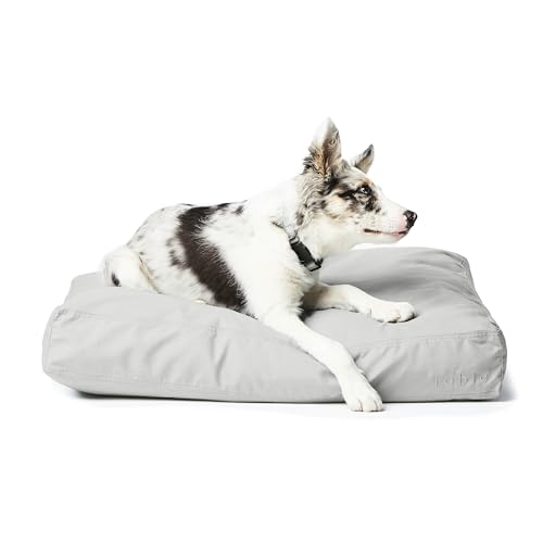 FABLE Hundebett – extra weiches Hundebett – minimalistisches Design – wasserabweisend, außen leicht zu reinigen – maschinenwaschbar – Innenseite aus Memory-Schaum – Mineralgrau M von FABLE