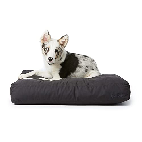 Fable Hundebett – extra weiches Hundebett – minimalistisches Design – wasserabweisend, außen leicht zu reinigen – maschinenwaschbar – innen aus Memory-Schaum – dunkler Schatten – XS/S – 61 x 45,7 cm von FABLE