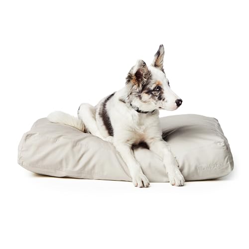 Fable Hundebett – extra weiches Hundebett – minimalistisches Design – wasserabweisend, leicht zu reinigen außen – maschinenwaschbar – Memory-Schaum innen – Tofu – L/XL – 101,6 x 76,2 cm von FABLE