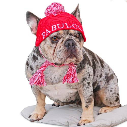 Strickmütze für Hunde, warme Hundehüte mit Puffball und Krawatte, weiche Baumwolle, Stricken, französische Bulldogge, Kleidung, Herbsthunde, kleine, mittelgroße und große Hunde (klein) von FABULOUS FIDO