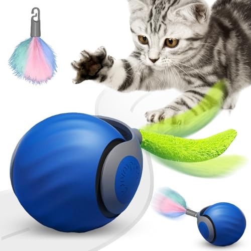 FALUCKYY Speedy Tail Katzenspielzeug, Speedy Tail 2.0, automatisch beweglicher Spielzeugball für Katzen, über USB wiederaufladbar, intelligentes interaktives Haustierspielzeug, interaktives von FALUCKYY