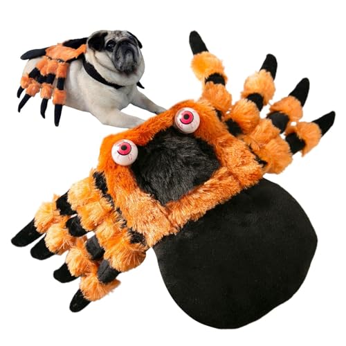 FANGZ Halloween-Haustierkostüm, Haustier-Spinnenkostüm | Spinnen-Kostüm-Requisiten, Cosplay-Outfits zum Anziehen - Gruseliges Halloween-Kleidungszubehör für kleine bis mittelgroße Hunde, Katzen, Hasen von FANGZ