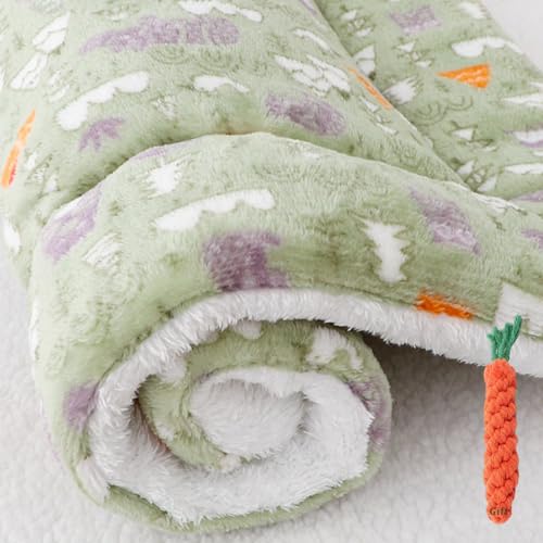 FANSU Hundebett Waschbar Flanell Lambswool Katzenbett Flauschig Hundebetten, Weiche Beruhigende Haustierbett Abnehmbar und Waschbar für Kleine Mittlere Hunde (61x41cm,Grüner Wald) von FANSU