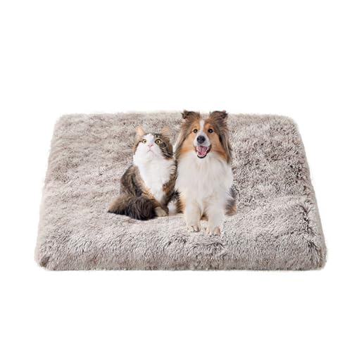 FANSU Hundebett Waschbar Katzenbett Flauschig Hundebetten Weiche Beruhigende Haustierbett Abnehmbar und Waschbar für Kleine Mittlere oder große Hunde (100X75X10CM,Farbverlauf Kaffee) von FANSU