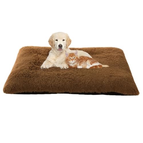 FANSU Hundebett Waschbar Katzenbett Flauschig Hundebetten Weiche Beruhigende Haustierbett Abnehmbar und Waschbar für Kleine Mittlere oder große Hunde (xxl-110x75cm,Curry dunkel) von FANSU