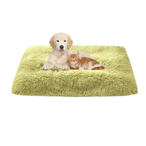 FANSU Hundebett Waschbar Katzenbett Flauschig Hundebetten Weiche Beruhigende Haustierbett Abnehmbar und Waschbar für Kleine Mittlere oder große Hunde (xxxl-122x85cm,Hellgrün) von FANSU