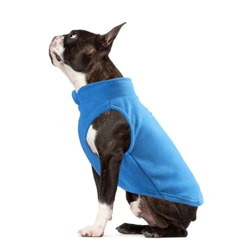 FANSU Hundemantel Winter Reine Farbe, Warme Hundejacke Wasserdic Herbst Haustier Jacken Mit Reflektierend für Kleine Hunde Mittlere Hunde Große Hunde (M,Blau) von FANSU