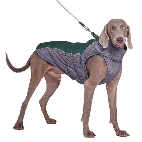 FANSU Hundemantel Winter Wasserdicht, Warme Hundejacke Wasserdic Haustier Jacken Mit Reflektierend für Kleine Hunde Mittlere Hunde Große Hunde (XS,Dunkelgrün) von FANSU