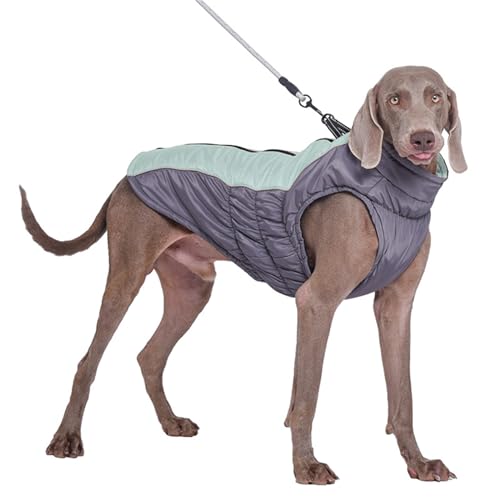 FANSU Hundemantel Winter Wasserdicht, Warme Hundejacke Wasserdic Haustier Jacken Mit Reflektierend für Kleine Hunde Mittlere Hunde Große Hunde (XS,Hellblau) von FANSU