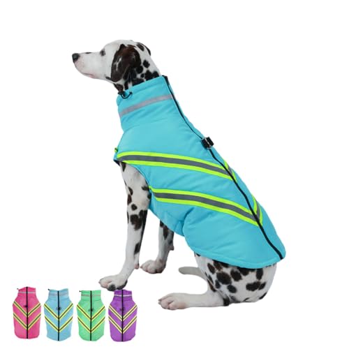 FANSU Hundemantel Winter Wasserdicht, Warme Hundejacke Wasserdicht Herbst Haustier Jacken Mit Reflektierend für Kleine Hunde Mittlere Hunde Große Hunde (M,Blau) von FANSU