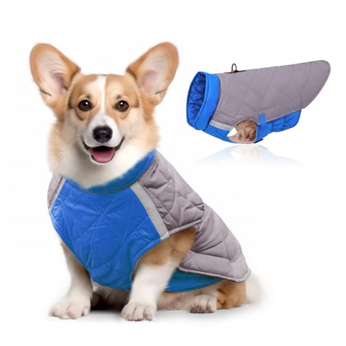 FANSU Hundemantel Winter Wasserdicht Reflektor, Warme Hundejacke Wasserdicht Herbst Haustier Jacken Wattierte Kleidung für Kleine Hunde Mittlere Hunde Große Hunde (3XL,Blau) von FANSU