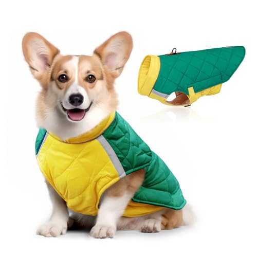 FANSU Hundemantel Winter Wasserdicht Reflektor, Warme Hundejacke Wasserdicht Herbst Haustier Jacken Wattierte Kleidung für Kleine Hunde Mittlere Hunde Große Hunde (5XL,Grün) von FANSU