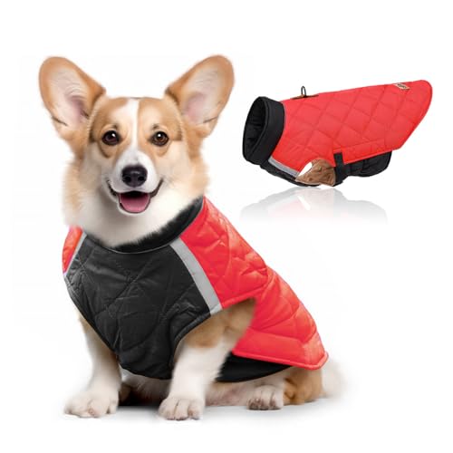 FANSU Hundemantel Winter Wasserdicht Reflektor, Warme Hundejacke Wasserdicht Herbst Haustier Jacken Wattierte Kleidung für Kleine Hunde Mittlere Hunde Große Hunde (L,Rot) von FANSU