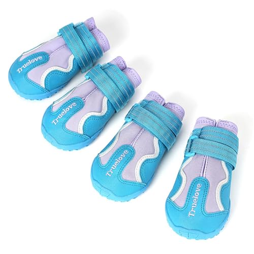 FANSU Hundeschuhe 4 Stück, Hundeschuhe Pfotenschutz Hunde Schuhe Outdoor Laufen Hundeschuhe Winter, Schuhe für Hunde Rutschfester für Kleine und Mittlere Hunde (L(4#),Blau/Violett) von FANSU