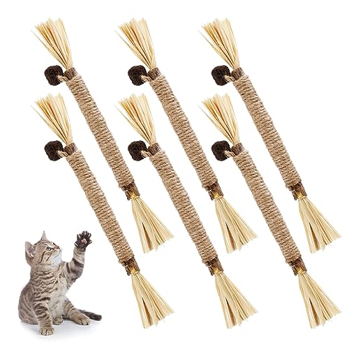 FANTESI 6 Stück 21cm Katzenminze Sticks, Stick Katze Bio katzenminze Spielzeug für Katzen, KatzensticksKausticks Set für Stress abbauen, Zähne reinigen von FANTESI