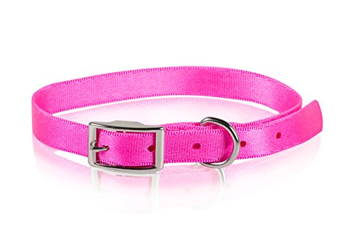 FARM COMPANY Nylon-Schnallenhalsband, 25 mm x 60 cm, Rosa von FARM COMPANY