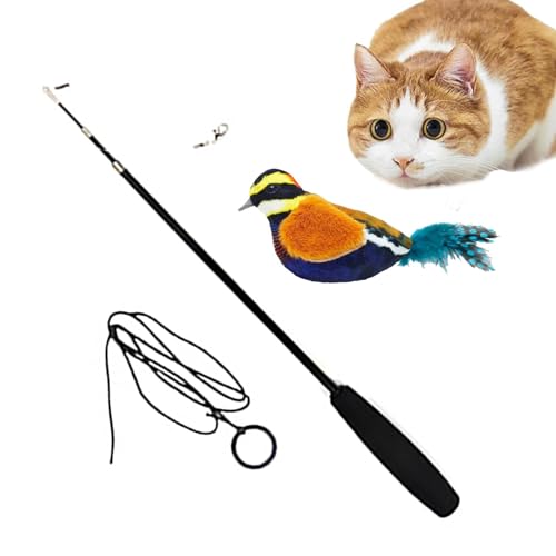 Katzen-Teasing-Stab – Vogel-Design, Zauberstab, Federspielzeug, wiederverwendbarer Katzen-Teaser-Zauberstab, Indoor-Katzenfeder-Spielzeug für Kätzchen und Welpen von FASSME