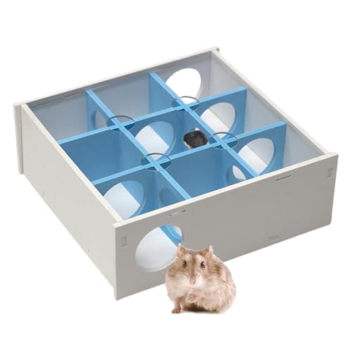 Hamster-Labyrinth, Mehrraum-Labyrinth-Tunnel Mit Transparenter Acrylabdeckung, Einfach Zu Montierendes Hamster-Versteck, Hamster-Tunnel-Spielzeug Für Kleine Hunde Und Meerschweinchen von FASSME