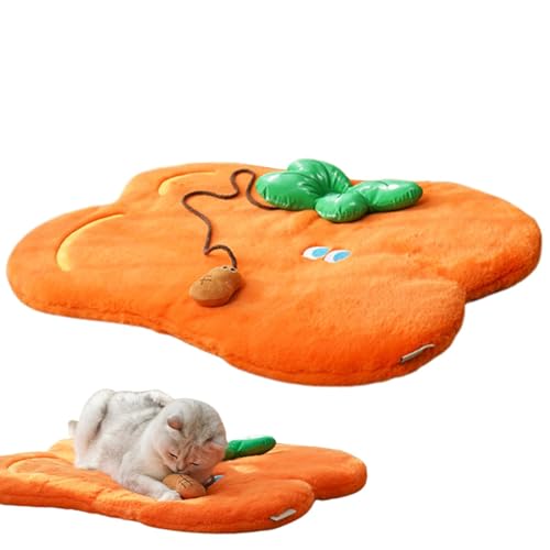 Katzenbett für den Innenbereich, Katzendecke - Warme Haustiermatte in Plüsch-Cartoon-Form mit interaktivem Spielzeug - Warmer Winterbedarf für Haustiere, 68 x 55 cm/26,77 x 21,65 Zoll Katzen-Bodenunte von FASSME