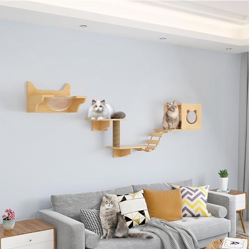 FATACO Kletterwand Katzen Set, Katzen Wand Klettern, Katzenregale Umfassen Katzenhaus, Katzenkratzbaum, Katzenwandstufen, Sprungplattform, Robust und Langlebig, Platzsparend (Size : B1-6PCS) von FATACO