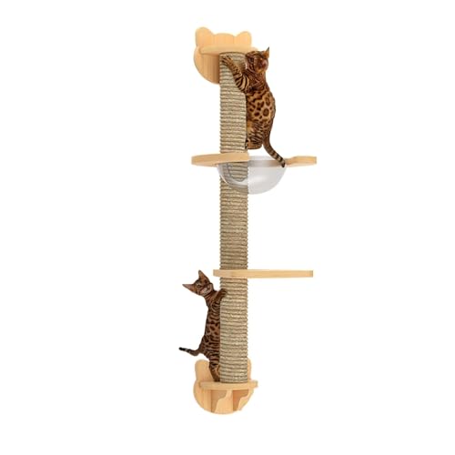 FATACO Kletterwand Katzen Set Große Katzen, Inklusive Katzenwandstufen, Katzenhaus, Katzenkratzbaum, Können Selbst Gebaut und Frei Kombiniert Werden (Size : C12) von FATACO