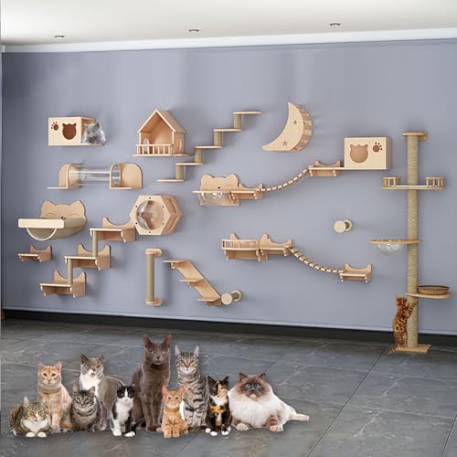 Kletterwand Katzen Holz, Katzen Wand Klettern Katzentreppe Wand, Verdickte Platte ist Robust und Langlebig, Platzsparend, Geschenk für Katze (Size : B17-35PCS) von FATACO