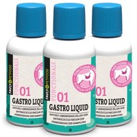 FAVLY Petfood GASTRO Liquid 3x30 g von FAVLY Petfood