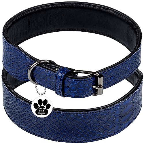 FAVPET Luxus Echtleder Halsband Hund Breit mit QR Code Anhänger, Gepolstertes Hundehalsband Leder Breit, Breites Lederhalsband Hund, Breite Hunde Halsbänder, Welpenhalsbänder Leder (Blau, M) von FAVPET