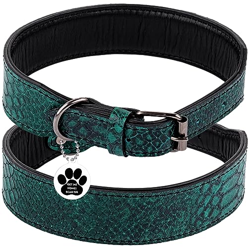 FAVPET Luxus Echtleder Halsband Hund Breit mit QR Code Anhänger, Gepolstertes Hundehalsband Leder Breit, Breites Lederhalsband Hund, Breite Hunde Halsbänder, Welpenhalsbänder Leder (Grün, M) von FAVPET