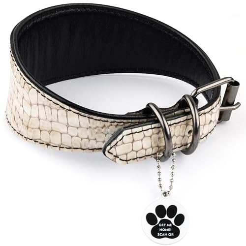 FAVPET Luxus Echtleder Windhund Halsband Breit mit QR Code Anhänger, Weiches Lederhalsband Hund Breit Whippet Italienisches Windspiel Saluki Lurcher Spanischer Galgo Greyhound Podenco (Beige, XS) von FAVPET