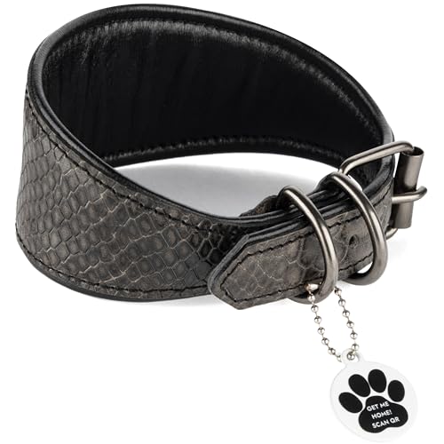 FAVPET Luxus Echtleder Windhund Halsband Breit mit QR Code Anhänger, Weiches Lederhalsband Hund Breit Whippet Italienisches Windspiel Saluki Lurcher Spanischer Galgo Greyhound Podenco (Grau, L) von FAVPET