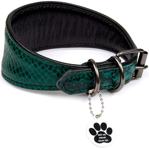 FAVPET Luxus Echtleder Windhund Halsband Breit mit QR Code Anhänger, Weiches Lederhalsband Hund Breit Whippet Italienisches Windspiel Saluki Lurcher Spanischer Galgo Greyhound Podenco (Grün, XS) von FAVPET