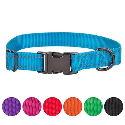 FAVPET Reflektierendes Hundehalsband Nylon, Reflektor Hund Halsband Verstellbar, Halsband Hund Klickverschluss, Halsband Hund Grosse Hunde, Hundehalsband Kleine Hunde, Welpen Halsbänder (Blau, L) von FAVPET