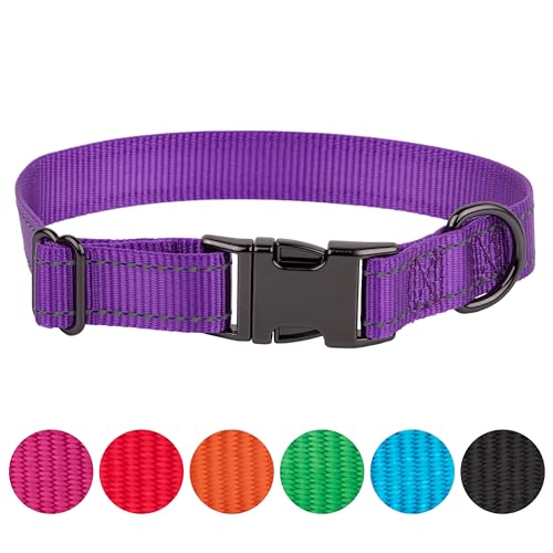 FAVPET Reflektierendes Hundehalsband Nylon, Reflektor Hund Halsband Verstellbar, Halsband Hund Klickverschluss, Halsband Hund Grosse Hunde, Hundehalsband Kleine Hunde, Welpen Halsbänder (Lila, M) von FAVPET