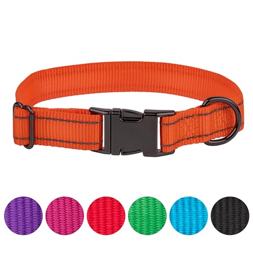 FAVPET Reflektierendes Hundehalsband Nylon, Reflektor Hund Halsband Verstellbar, Halsband Hund Klickverschluss, Halsband Hund Grosse Hunde, Hundehalsband Kleine Hunde, Welpen Halsbänder (Orange, M) von FAVPET