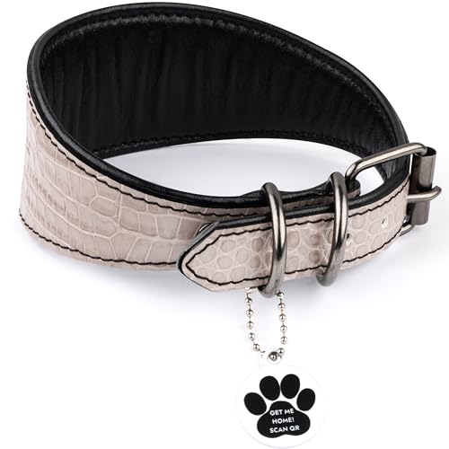 FAVPET Windhund Breites Lederhalsband Hund mit QR Code Anhänger für Whippet Italienisches Windspiel Saluki Borzoi Lurcher Spanischer Galgo Azawak, Weiches Hundehalsband Leder (Beige, S) von FAVPET