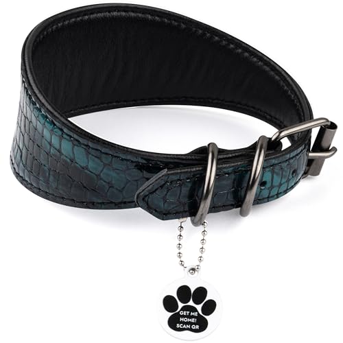 FAVPET Luxus Echtleder Windhund Halsband Breit mit QR Code Anhänger, Weiches Lederhalsband Hund Breit Whippet Italienisches Windspiel Saluki Lurcher Spanischer Galgo Greyhound Podenco (Grün, S) von FAVPET