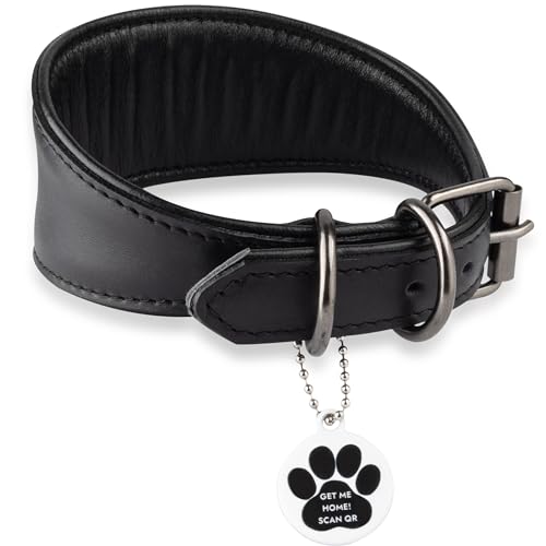 FAVPET Echtleder Windhund Halsband mit QR Code Anhänger, Weiches Lederhalsband Hund Breit Whippet Italienisches Windspiel Saluki Lurcher Spanischer Galgo Greyhound Podenco, Hundehalsband Leder (L) von FAVPET