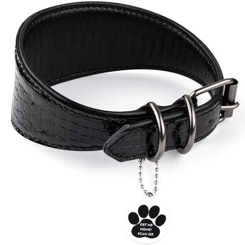 FAVPET Windhund Breites Lederhalsband Hund mit QR Code Anhänger für Whippet Italienisches Windspiel Saluki Borzoi Lurcher Spanischer Galgo Azawak, Weiches Hundehalsband Leder (Schwarz, XS) von FAVPET