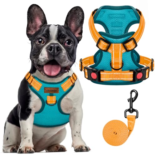 FAYOGOO Hundegeschirr, Kein Choke Front Clip Hund Reflektierendes Geschirr, No-Pull Verstellbare Weiche Gepolsterte Haustier Weste Set für kleine Mittlere Große Hunde Gehen (Blau, L) von FAYOGOO