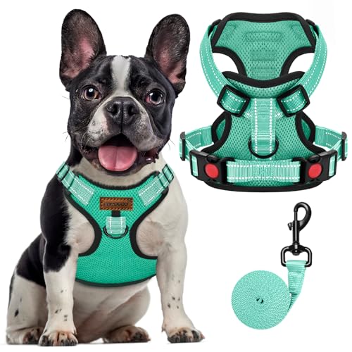 FAYOGOO Hundegeschirr, Kein Choke Front Clip Hund Reflektierendes Geschirr, No-Pull Verstellbare Weiche Gepolsterte Haustier Weste Set für kleine Mittlere Große Hunde Gehen (Grün, XL) von FAYOGOO