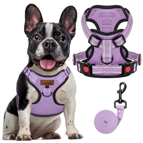 FAYOGOO Hundegeschirr, Kein Choke Front Clip Hund Reflektierendes Geschirr, No-Pull Verstellbare Weiche Gepolsterte Haustier Weste Set für kleine Mittlere Große Hunde Gehen (Lila, L) von FAYOGOO