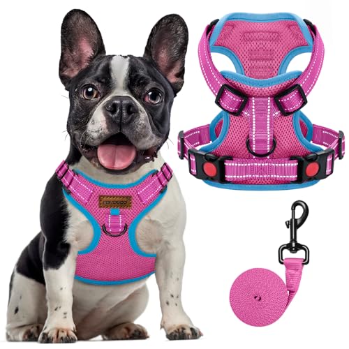 FAYOGOO Hundegeschirr, Hundegeschirr Kleine Hunde, Hundegeschirr Mittelgroße Hunde, Einstellbar Reflektierend Atmungsaktiv für Kleine Mittlegroße Hunde, (Rosa, L) von FAYOGOO