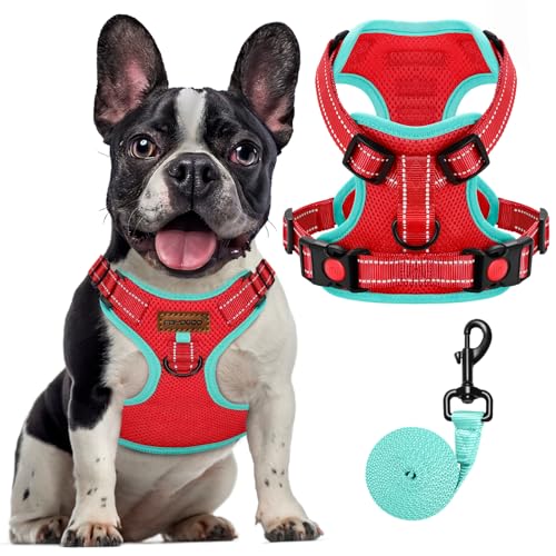 FAYOGOO Hundegeschirr, Hundegeschirr Kleine Hunde, Hundegeschirr Mittelgroße Hunde, Einstellbar Reflektierend Atmungsaktiv für Kleine Mittlegroße Hunde, (Rot, XL) von FAYOGOO