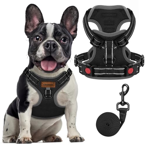 FAYOGOO Hundegeschirr, Kein Choke Front Clip Hund Reflektierendes Geschirr, No-Pull Verstellbare Weiche Gepolsterte Haustier Weste Set für kleine Mittlere Große Hunde Gehen (Schwarz, L) von FAYOGOO