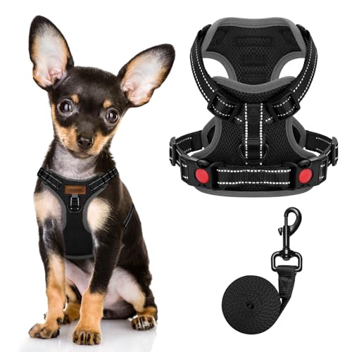 FAYOGOO Hundegeschirr, Kein Choke Front Clip Hund Reflektierendes Geschirr, No-Pull Verstellbare Weiche Gepolsterte Haustier Weste Set für kleine Mittlere Große Hunde Gehen Helles Schwarz, M von FAYOGOO