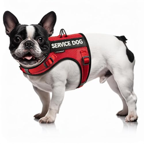 FAYOGOO Hundegeschirr für kleine Hunde – weiches, atmungsaktives Netzgewebe, ESA-Service-Hundeweste mit Klettverschluss, kein Würgen, Welpengeschirr und Leine mit verstellbarem Hals und Brust von FAYOGOO