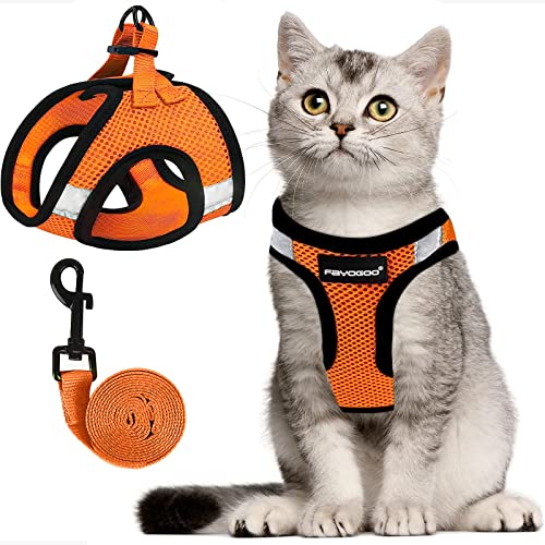 Katzengeschirr, Katzenleine und Geschirr-Set zum Spazierengehen, ausbruchsicher, Geschirr für kleine Katzen/kleine Hunde, Geschirr für Katzen S-XXL (Neonorange, X-Large) von FAYOGOO